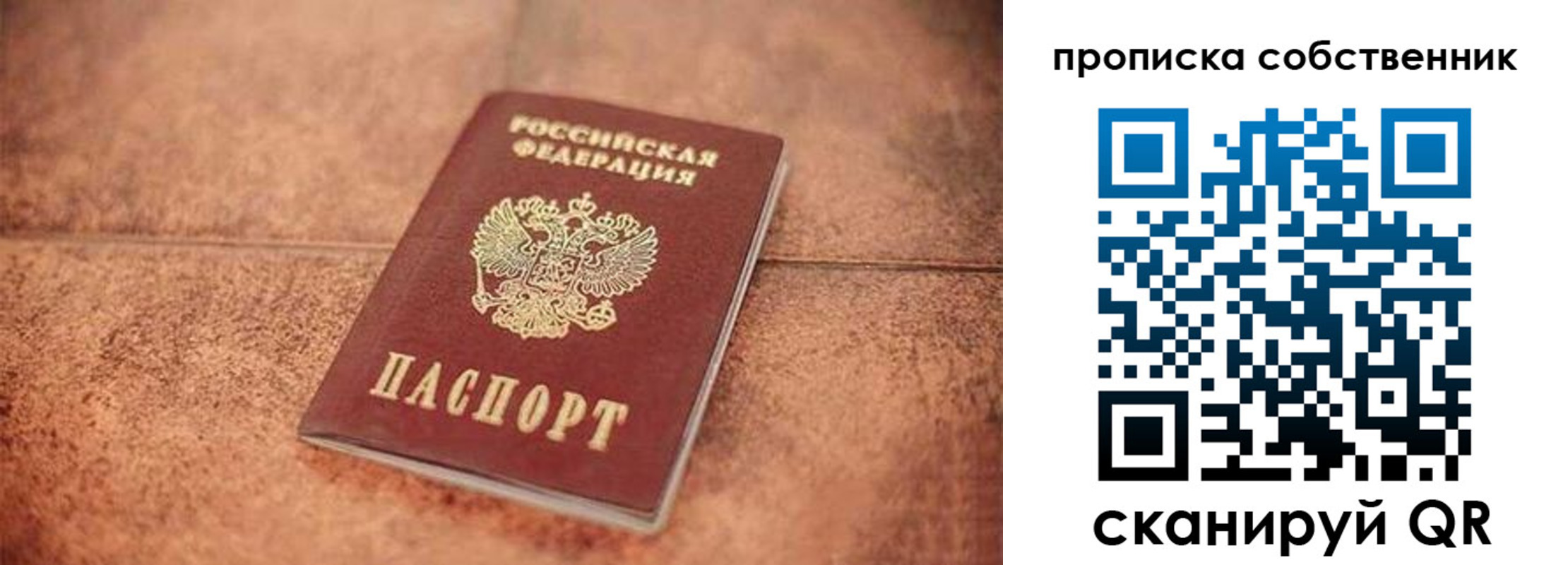 где прописаться в Сланцах